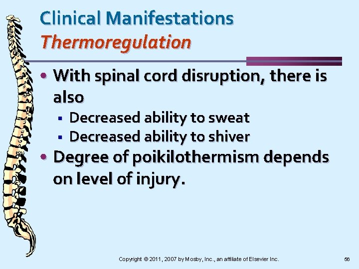 Clinical Manifestations Thermoregulation • With spinal cord disruption, there is also § § Decreased