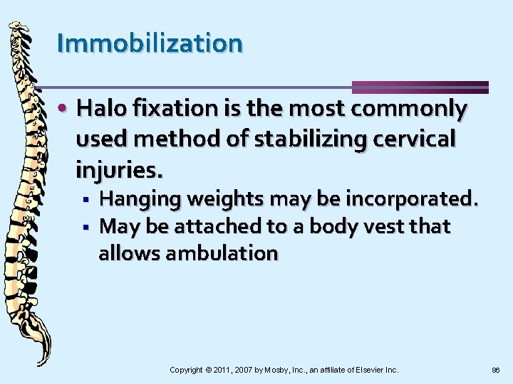 Immobilization • Halo fixation is the most commonly used method of stabilizing cervical injuries.