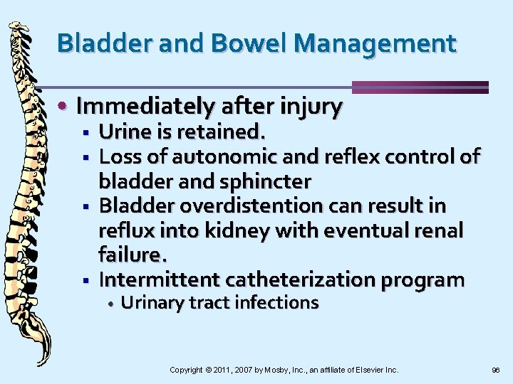Bladder and Bowel Management • Immediately after injury § § Urine is retained. Loss