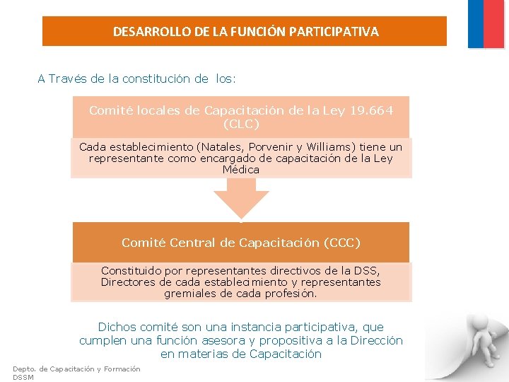 DESARROLLO DE LA FUNCIÓN PARTICIPATIVA A Través de la constitución de los: Comité locales