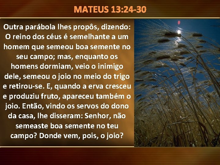 13: 24 -30 Mensagens do. MATEUS Santuário Outra parábola lhes propôs, dizendo: O reino