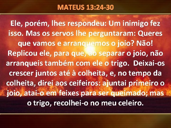 13: 24 -30 Mensagens do. MATEUS Santuário Ele, porém, lhes respondeu: Um inimigo fez