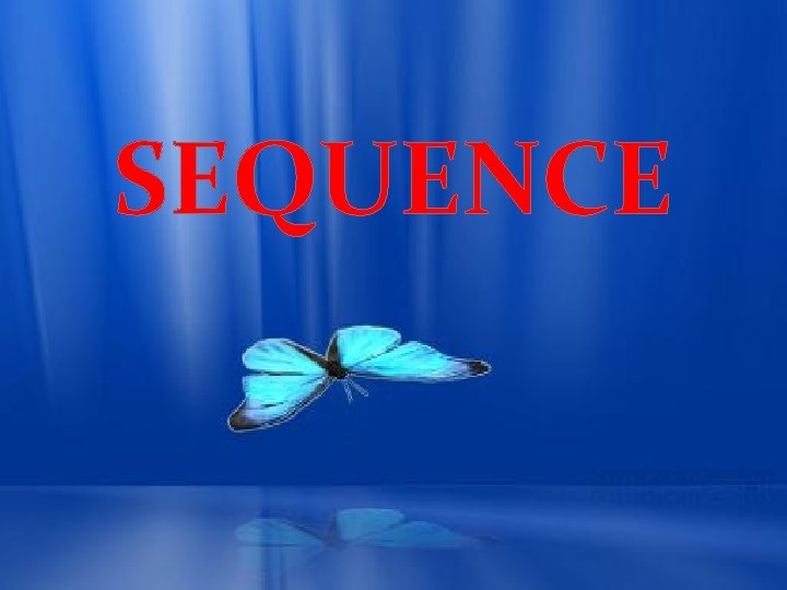 SEQUENCE SEQUENCE