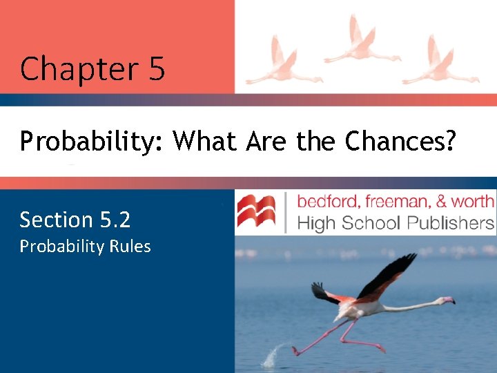 Chapter 5 Probability: What Are the Chances? Section 5. 2 Probability Rules 