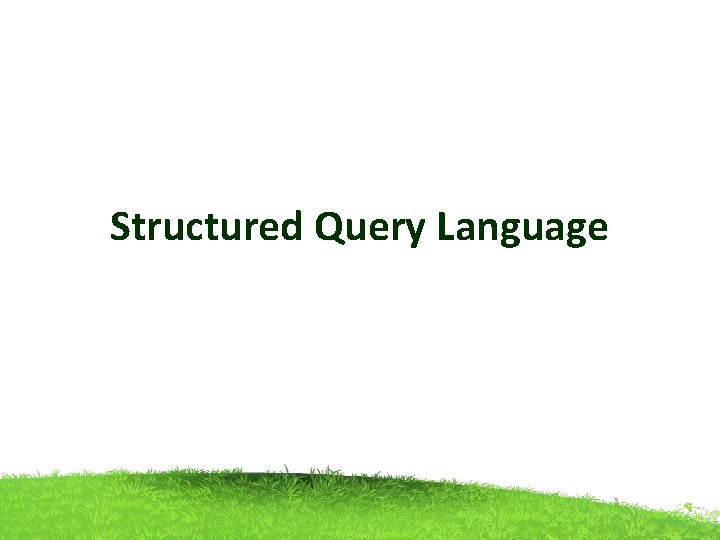 Structured Query Language 