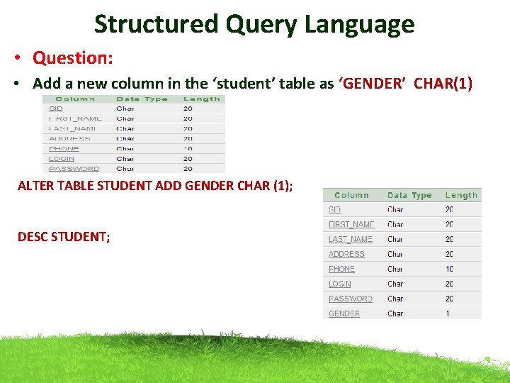 Structured Query Language • Question: • Add a new column in the ‘student’ table