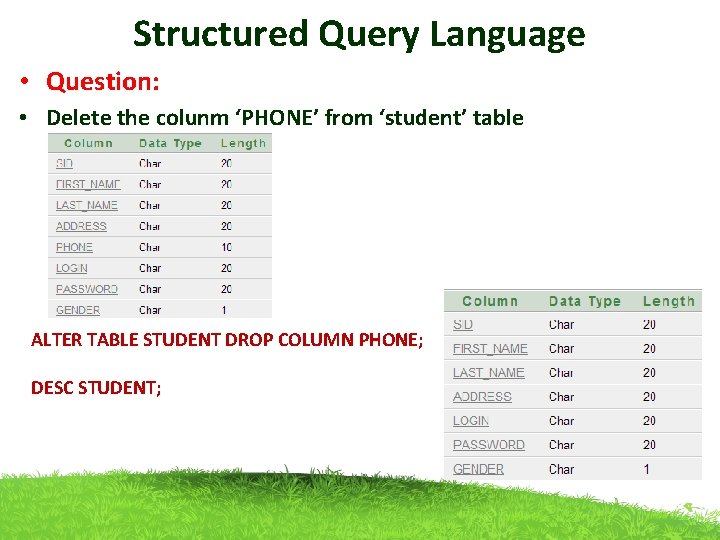 Structured Query Language • Question: • Delete the colunm ‘PHONE’ from ‘student’ table ALTER