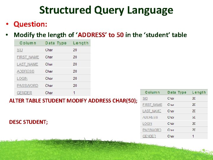 Structured Query Language • Question: • Modify the length of ‘ADDRESS’ to 50 in