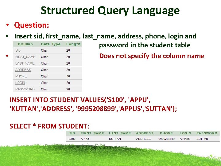 Structured Query Language • Question: • Insert sid, first_name, last_name, address, phone, login and