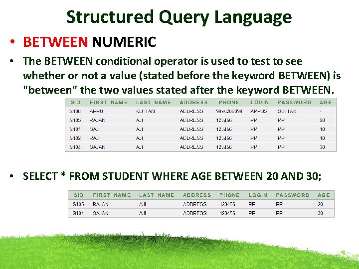 Structured Query Language • BETWEEN NUMERIC • The BETWEEN conditional operator is used to