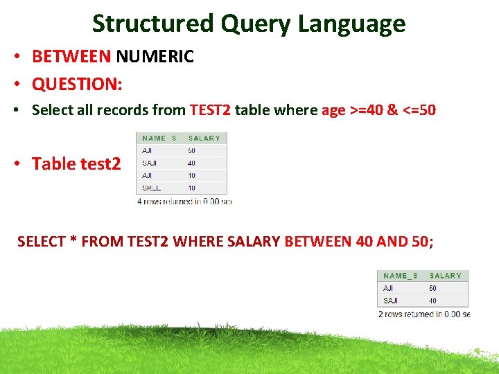 Structured Query Language • BETWEEN NUMERIC • QUESTION: • Select all records from TEST