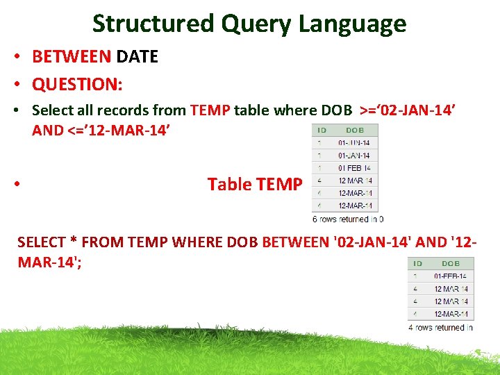 Structured Query Language • BETWEEN DATE • QUESTION: • Select all records from TEMP