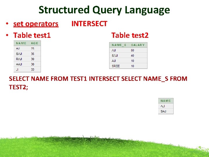 Structured Query Language • set operators INTERSECT • Table test 1 Table test 2