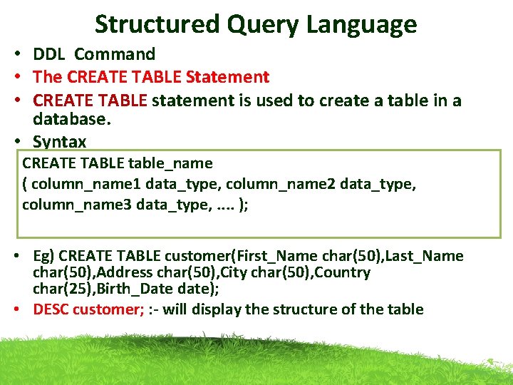 Structured Query Language • DDL Command • The CREATE TABLE Statement • CREATE TABLE