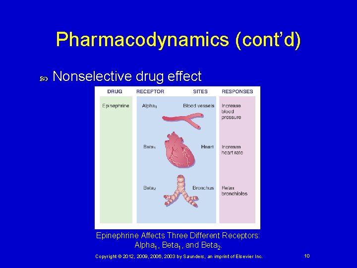 Pharmacodynamics (cont’d) Nonselective drug effect Epinephrine Affects Three Different Receptors: Alpha 1, Beta 1,