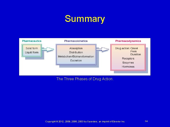 Summary The Three Phases of Drug Action. Copyright © 2012, 2009, 2006, 2003 by
