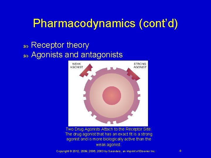 Pharmacodynamics (cont’d) Receptor theory Agonists and antagonists Two Drug Agonists Attach to the Receptor