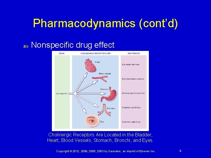 Pharmacodynamics (cont’d) Nonspecific drug effect Cholinergic Receptors Are Located in the Bladder, Heart, Blood