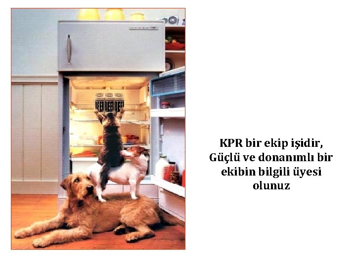 KPR bir ekip işidir, Güçlü ve donanımlı bir ekibin bilgili üyesi olunuz KPR bir ekip işidir, Güçlü ve donanımlı bir ekibin bilgili üyesi olunuz
