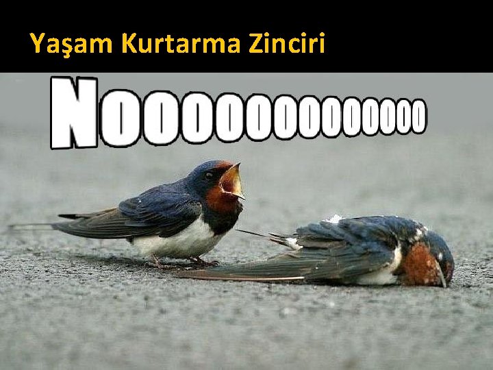Yaşam Kurtarma Zinciri Arrestin tanınması Acil sistemin aktivasyonu Erken KPR Hızlı Defibrilasyon Etkin İYD Yaşam Kurtarma Zinciri Arrestin tanınması Acil sistemin aktivasyonu Erken KPR Hızlı Defibrilasyon Etkin İYD