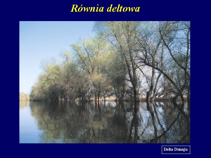Równia deltowa Delta Dunaju 