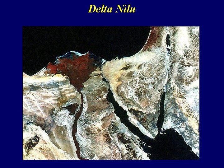 Delta Nilu 