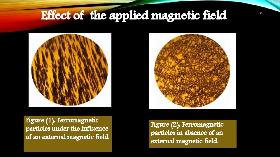 Effect of the applied magnetic field Figure (1): Ferromagnetic particles under the influence of