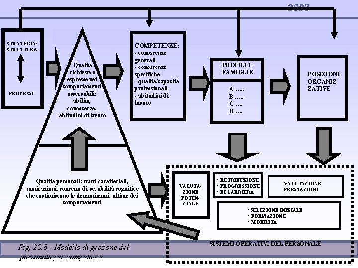 2003 STRATEGIA/ STRUTTURA PROCESSI Qualità richieste o espresse nei comportamenti osservabili: abilità, conoscenze, abitudini