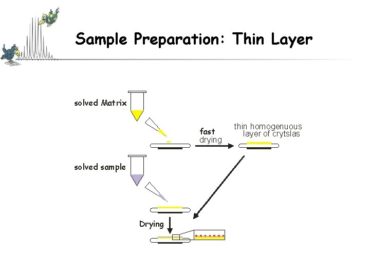 Sample Preparation: Thin Layer solved Matrix fast drying solved sample Drying thin homogenuous layer Sample Preparation: Thin Layer solved Matrix fast drying solved sample Drying thin homogenuous layer