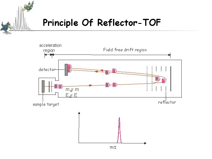 Principle Of Reflector-TOF acceleration region Field free drift region 2 1 detector 1 2 Principle Of Reflector-TOF acceleration region Field free drift region 2 1 detector 1 2