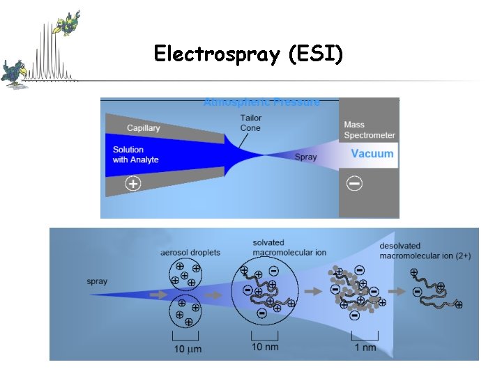 Electrospray (ESI) Electrospray (ESI)