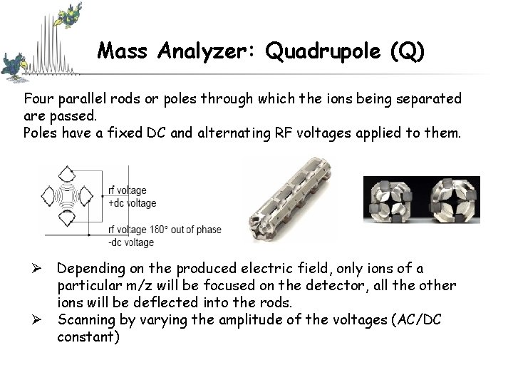 Mass Analyzer: Quadrupole (Q) Four parallel rods or poles through which the ions being Mass Analyzer: Quadrupole (Q) Four parallel rods or poles through which the ions being