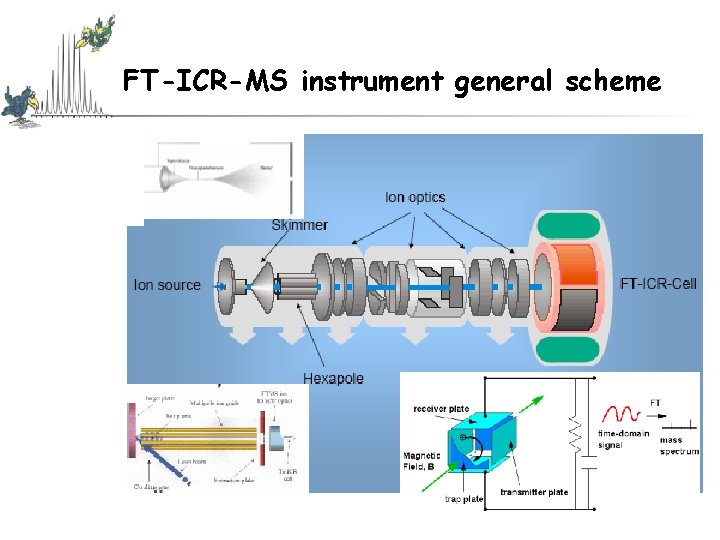 FT-ICR-MS instrument general scheme FT-ICR-MS instrument general scheme