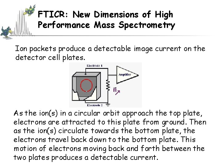 FTICR: New Dimensions of High Performance Mass Spectrometry Ion packets produce a detectable image FTICR: New Dimensions of High Performance Mass Spectrometry Ion packets produce a detectable image