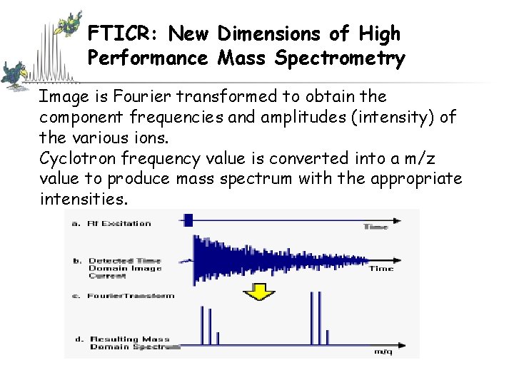 FTICR: New Dimensions of High Performance Mass Spectrometry Image is Fourier transformed to obtain FTICR: New Dimensions of High Performance Mass Spectrometry Image is Fourier transformed to obtain