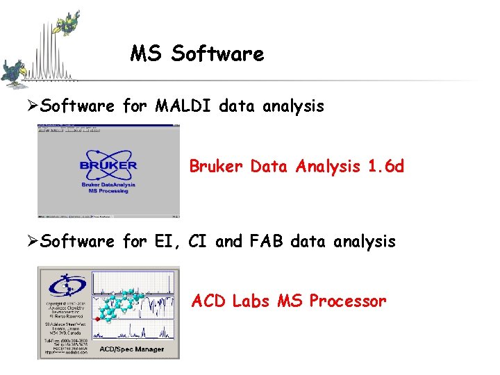 MS Software ØSoftware for MALDI data analysis Bruker Data Analysis 1. 6 d ØSoftware MS Software ØSoftware for MALDI data analysis Bruker Data Analysis 1. 6 d ØSoftware