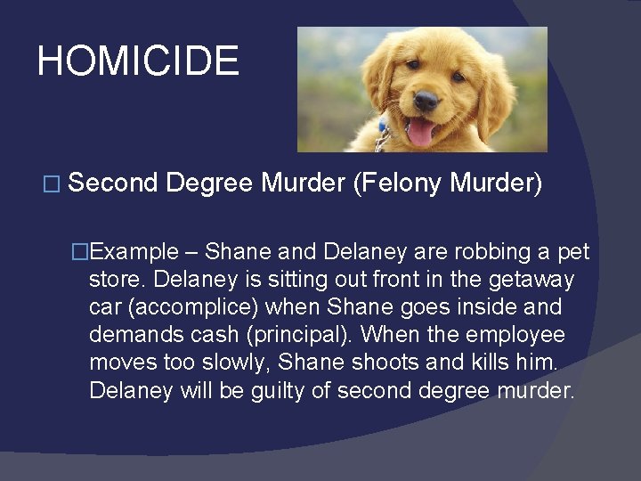 HOMICIDE � Second Degree Murder (Felony Murder) �Example – Shane and Delaney are robbing