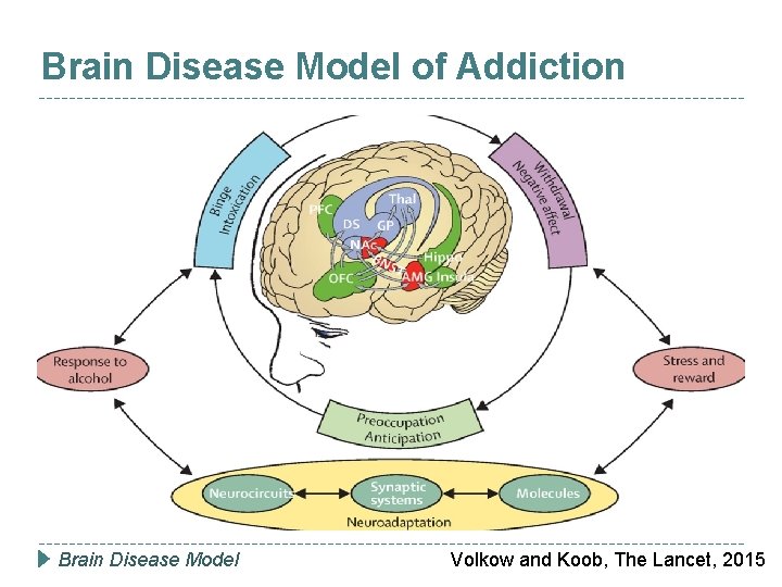 Brain Disease Model of Addiction Brain Disease Model Volkow and Koob, The Lancet, 2015