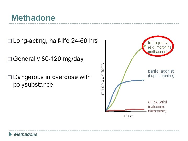 Methadone � Long-acting, half-life 24 -60 hrs full agonist (e. g. morphine, methadone) �