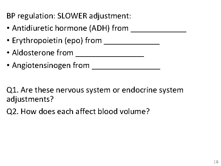 BP regulation: SLOWER adjustment: • Antidiuretic hormone (ADH) from _______ • Erythropoietin (epo) from