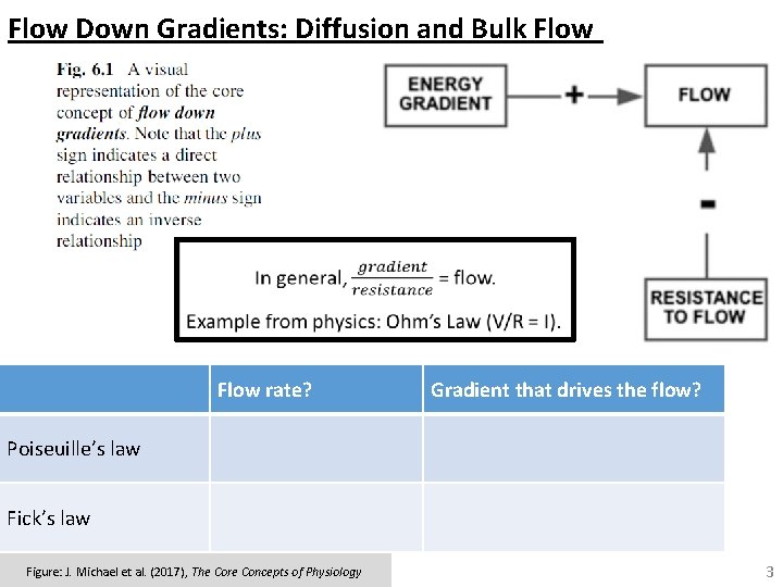 Flow Down Gradients: Diffusion and Bulk Flow rate? Gradient that drives the flow? Poiseuille’s