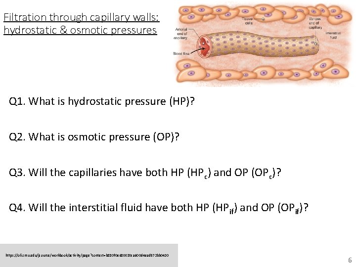 Filtration through capillary walls: hydrostatic & osmotic pressures Q 1. What is hydrostatic pressure