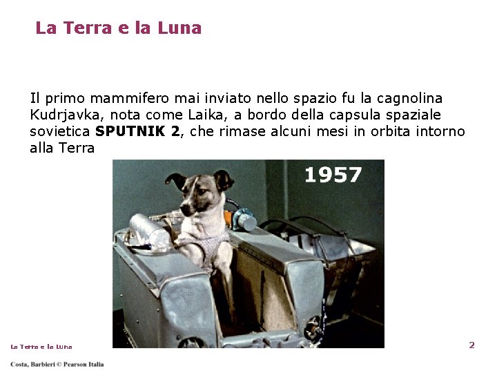 La Terra e la Luna Il primo mammifero mai inviato nello spazio fu la La Terra e la Luna Il primo mammifero mai inviato nello spazio fu la