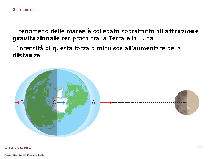 5 Le maree Il fenomeno delle maree è collegato soprattutto all’attrazione gravitazionale reciproca tra 5 Le maree Il fenomeno delle maree è collegato soprattutto all’attrazione gravitazionale reciproca tra