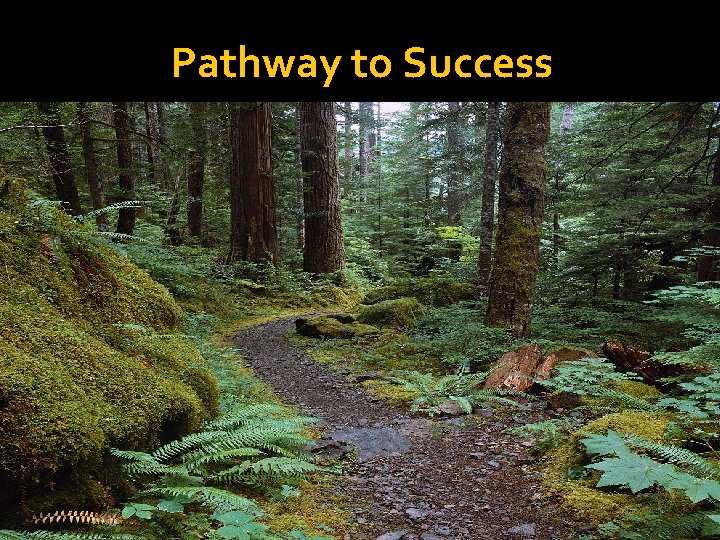 Pathway to Success 41 