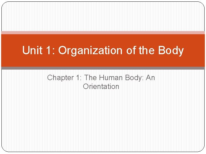 Unit 1: Organization of the Body Chapter 1: The Human Body: An Orientation 