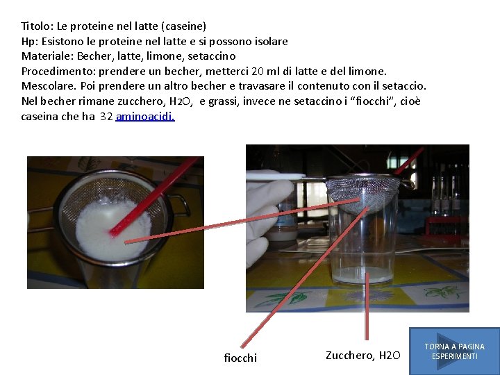 Titolo: Le proteine nel latte (caseine) Hp: Esistono le proteine nel latte e si