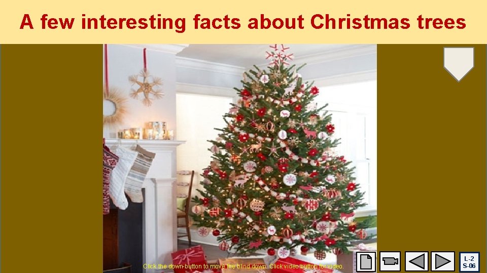 A few interesting facts about Christmas trees 1) The greatest number of electric lights