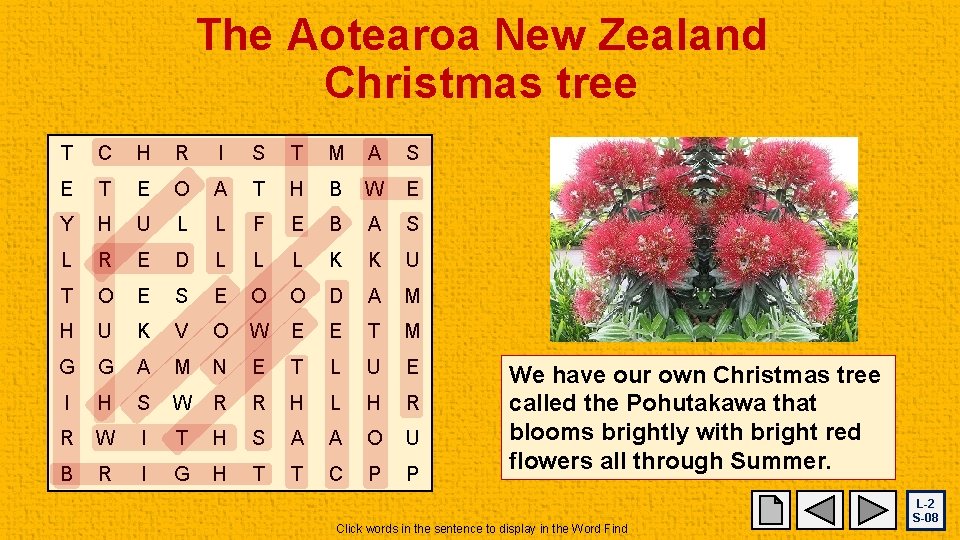 The Aotearoa New Zealand Christmas tree T C H R I S T M