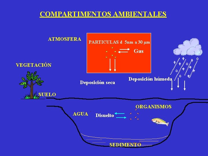 COMPARTIMENTOS AMBIENTALES ATMOSFERA PARTICULAS d 5 nm a 30 µm Gas VEGETACIÓN Deposición seca COMPARTIMENTOS AMBIENTALES ATMOSFERA PARTICULAS d 5 nm a 30 µm Gas VEGETACIÓN Deposición seca